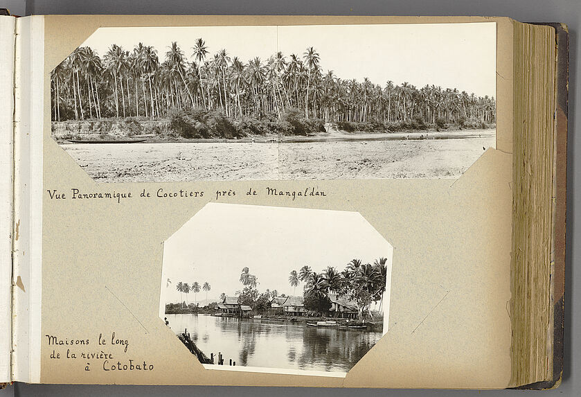 Vue panoramique de cocotiers près de Mangaldan