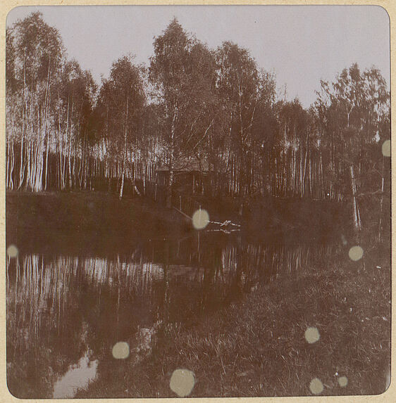 Mikhaïlovskoé, près des nouveaux étangs [point d'eau]