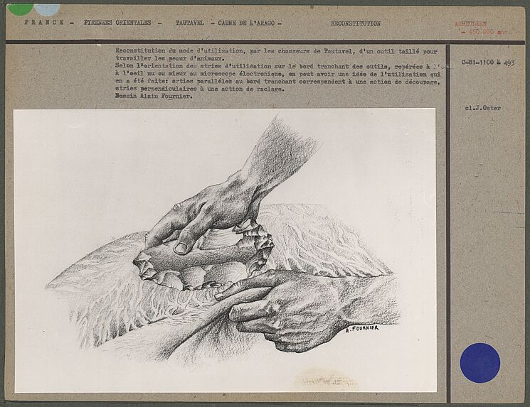 Reconstitution du mode d'utilisation d'un outil pour travailler les peaux d'animaux