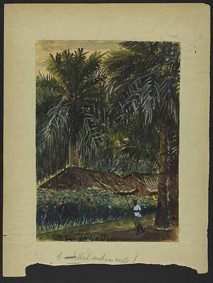 Cases indigènes sous les palmiers