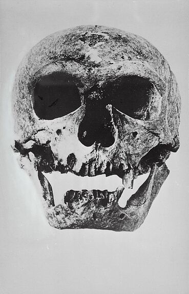 Crâne de la Chapelle-aux-Saints