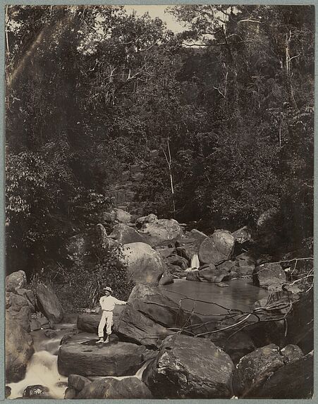 Guadeloupe ; torrent en forêt