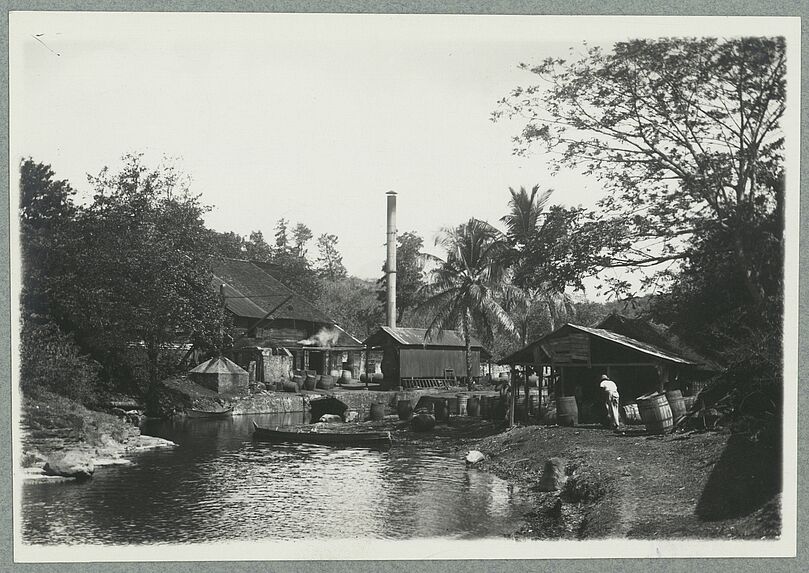 Martinique ; Rhumerie Pointe de Nègres