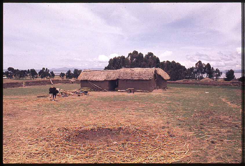 Maison au bord du lac Titicaca