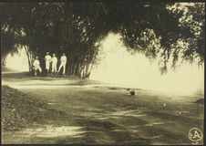Vers 1925, dans l'île d'Edéa