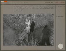 Une femme entre dans un canal d'amenée d'eau dans les rizières