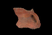 Vase (fragment)