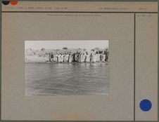 Attroupement de boudoumas sur la rive du Lac Tchad