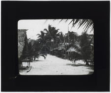 Nouvelle-Guinée [Village]