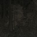 Le Phra-Khanh dans la forêt