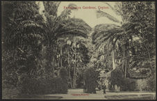 Peradeniya Gardens