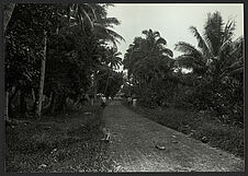 Tahiti, Mataiea, route de ceinture