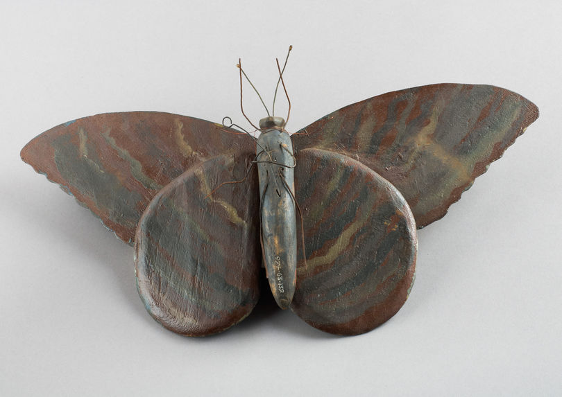 Reproduction d'un papillon malgache