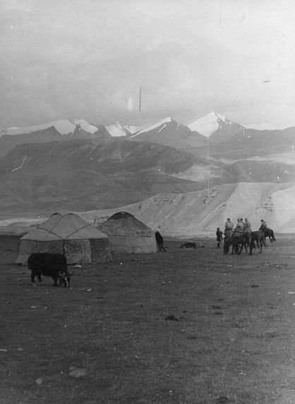 Campement Kirghiz et jeune yak