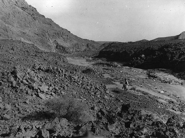 Vue de la vallée basse de l'oued In Daladj