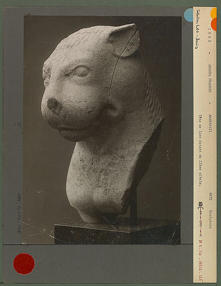Tête de lion datant du IIème siècle