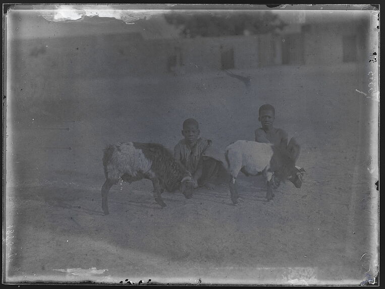 Enfants bambaras et mouton du Niger