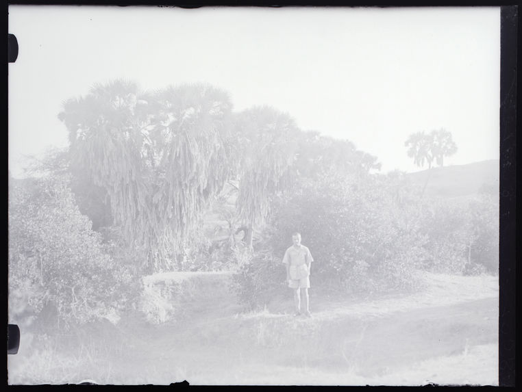M. Leiris devant les palmiers à Debra Birzen