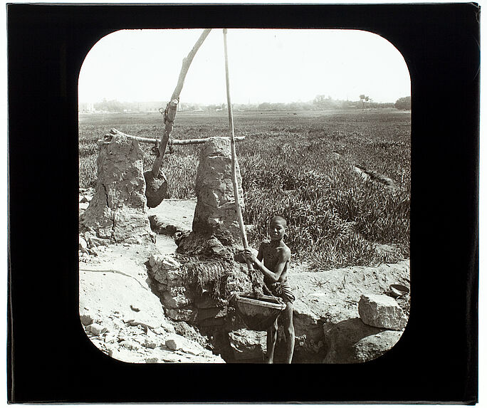 Un chadouf pour l'irrigation