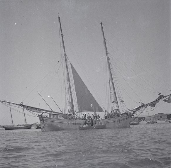 Barque à voile