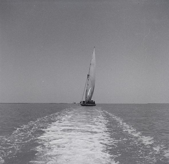 Barque à voile sur le lac Menzaleh