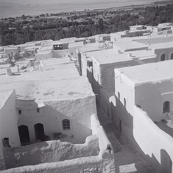Vue des terrasses d'Al-Nabek