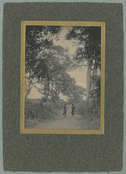 Fromager [deux hommes sur un chemin en forêt claire]