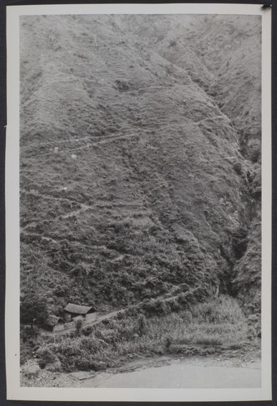 La piste muletière qui descend vers le pont de Pingpo