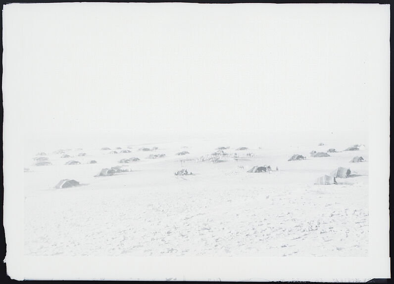 Campement de grands nomades chameliers