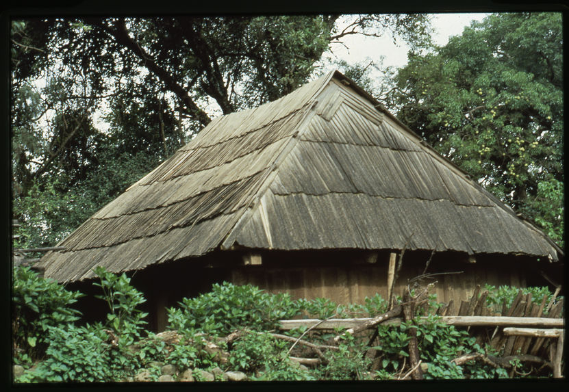 Toit de bois