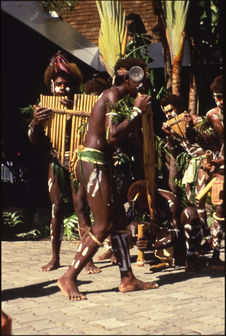 Musiciens de l'île de Malaita