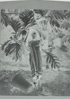 Jeune fille Nkomi; derrière, arbre à pain