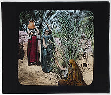 Femmes de Louqsor ramassant des feuilles de palmiers