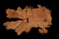 Tissu (fragment)