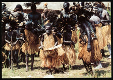 Groupe de danseurs ébanigi