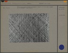 Détail d'une vannerie tressée en diagonale