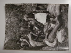 A  Achouka, chez les Noirs Mokandé, le dépeçage de l'éléphant