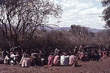 Sans titre [groupe de Maasaï assis près de branchages]