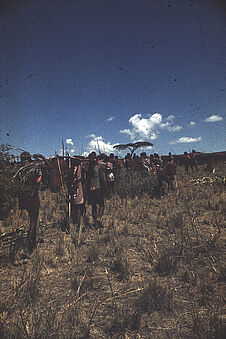 Sans titre [groupe de Maasaï portant un arbre]