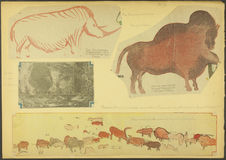 One of the great bisons painted on the cave walls