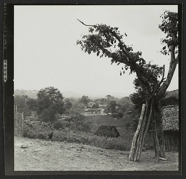 Ameluca : temazcal de feuilles, lieu sacré [cour]