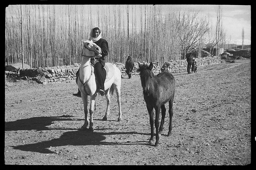 Sans titre [bande-film de six vues concernant des scènes diverses]