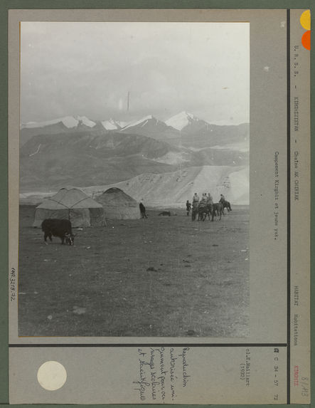 Campement Kirghiz et jeune yak