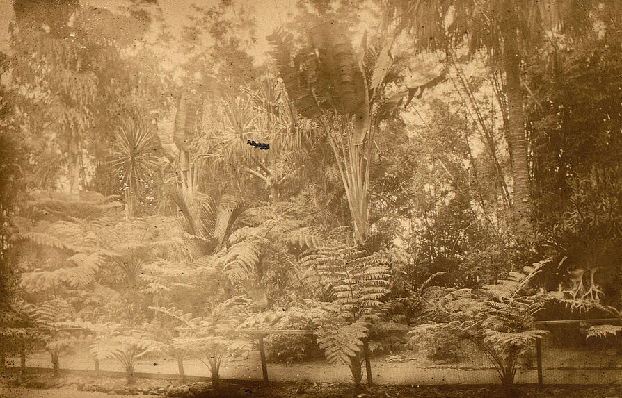 Vue du jardin botanique à Brisbane