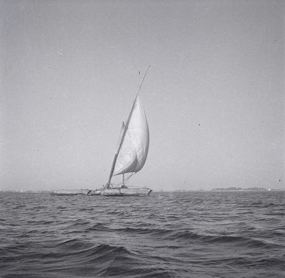 Barque à voile sur le lac Menzaleh