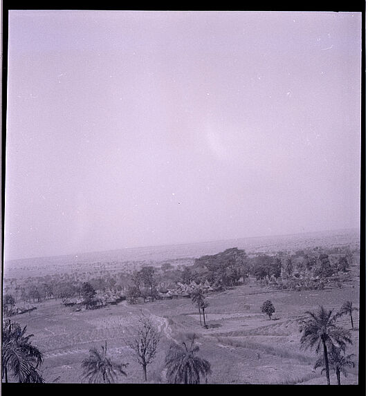 Sans titre [paysage de cultures maraîchères]