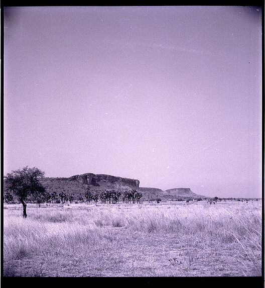 Sans titre [paysage de savane]