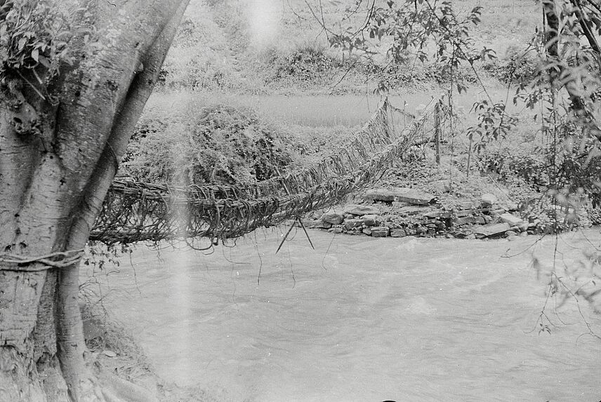 Pont de lianes