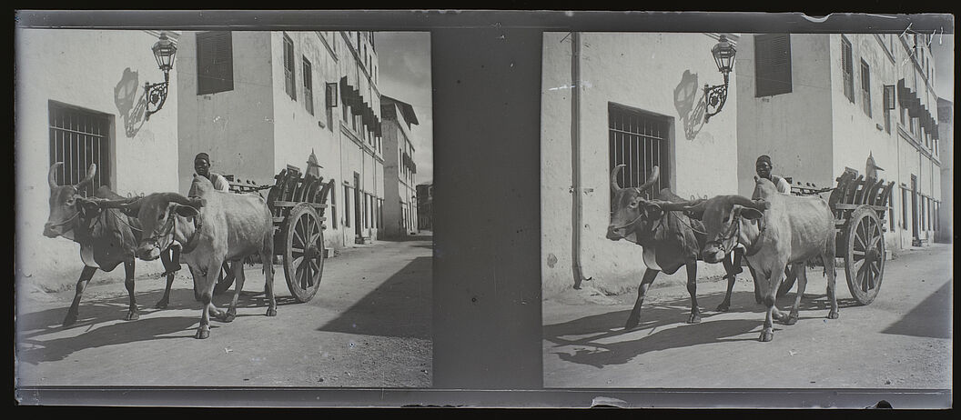 Sans titre [homme sur une charrette tirée par deux bœufs dans une rue. Djibouti?]