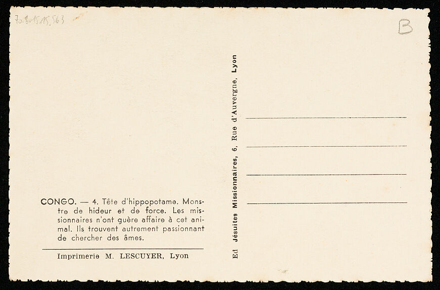 Congo. Tête d'hippopotame. Monstre de hideur et de force. Les missionnaires n'ont guère affaire à cet animal. Ils trouvent autrement passionnant de chercher des âmes